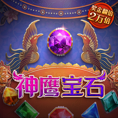 澳门精准一肖一码