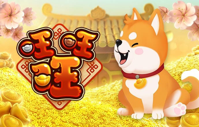 55世纪平台登陆