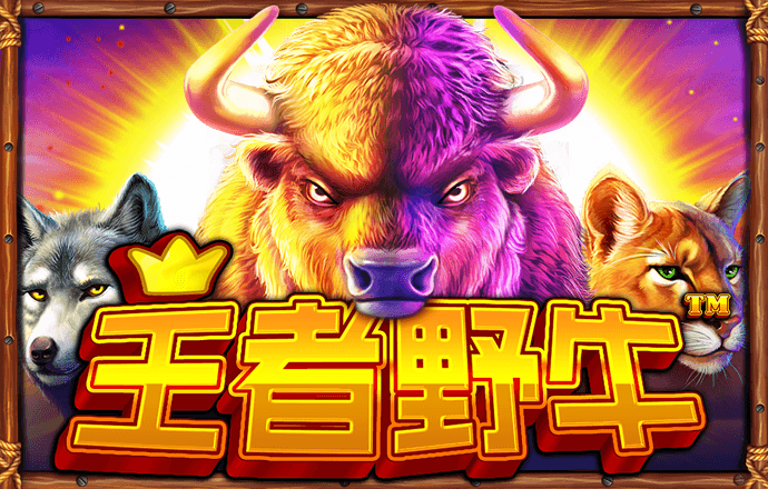 天下彩9944天下彩入口